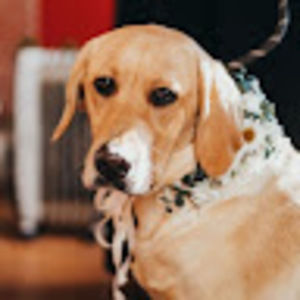 Meet your Posher, Alanna